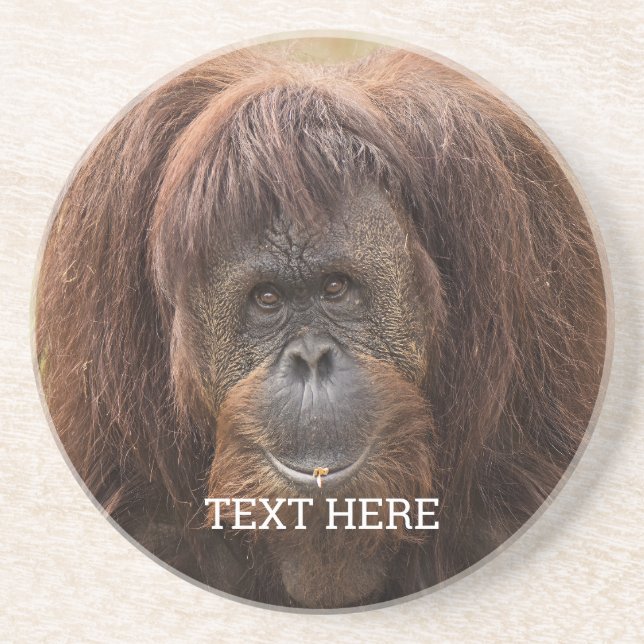 Borneo Orangutan Schöne Fotografie Getränkeuntersetzer (Vorne)