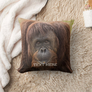 Borneo Orangutan Schöne Fotografie Kissen
