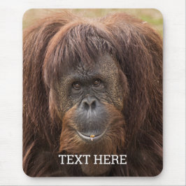 Borneo Orangutan Schöne Fotografie Mousepad