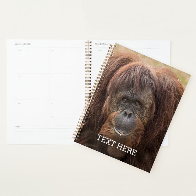 Borneo Orangutan Schöne Fotografie Planer (Anzeige)