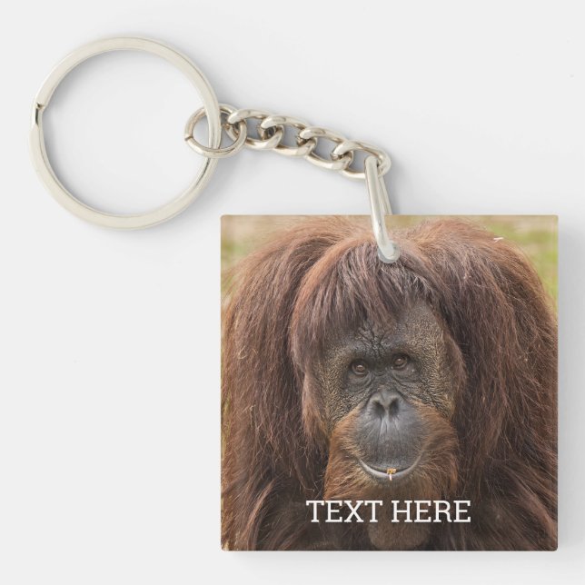 Borneo Orangutan Schöne Fotografie Schlüsselanhänger (Vorderseite)