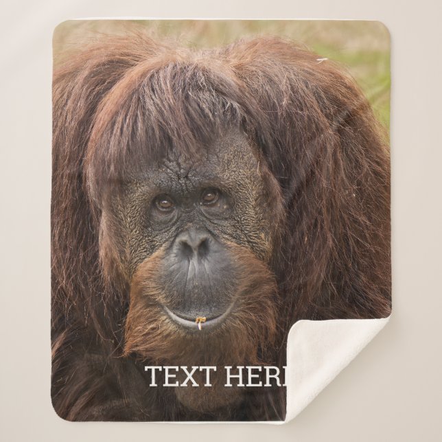 Borneo Orangutan Schöne Fotografie Sherpadecke (Vorderseite)