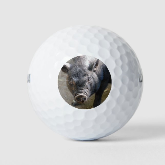 Borneo Pig Golfball (Vorderseite)