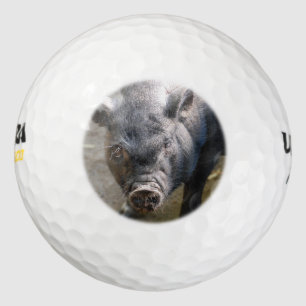 Borneo Pig Golfball