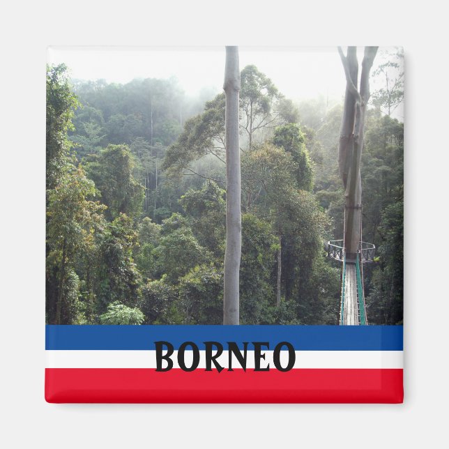 Borneo Rainforest Dschungel Landschaftliches Souve Magnet (Vorne)