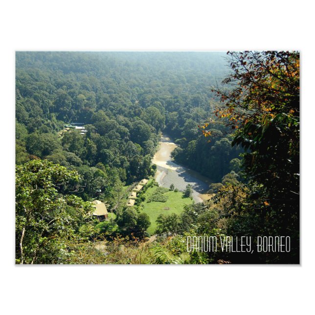 Borneo Rainforest Jungle Danum Valley Fotografie (Vorne)