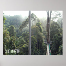 Borneo Rainforest Jungle Treetops Wanderweg Sabah Poster