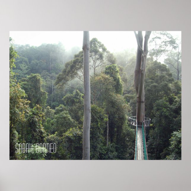 Borneo Rainforest Jungle Treetops Wanderweg Sabah Poster (Vorne)