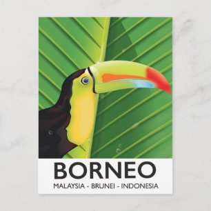 Borneo Toucan Reiseplakat Postkarte