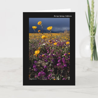 Borrego Springs, Kalifornien Karte