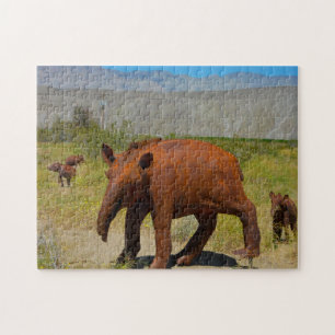 Borrego springt Kalifornien.