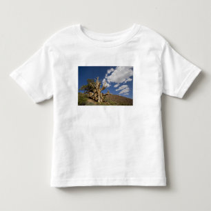 Borstnadelkiefer im Ancient Bristlecone Forest, Kleinkind T-shirt