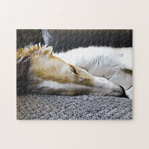 Borzoi