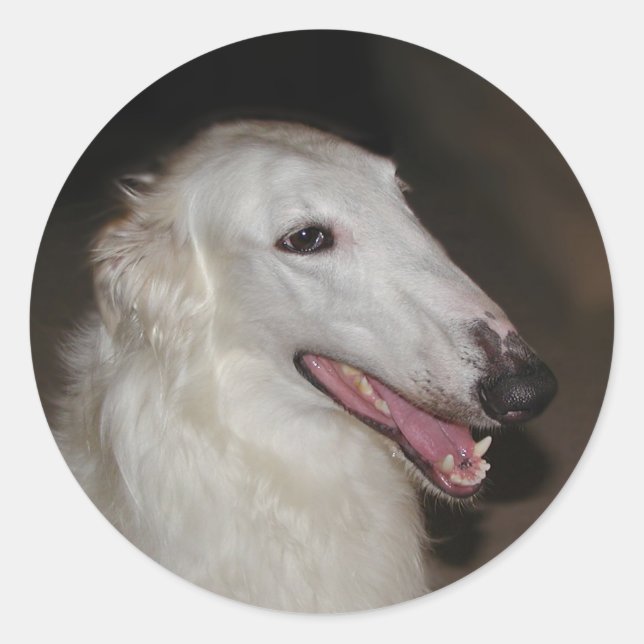 Borzoi-Aufkleber Runder Aufkleber (Vorderseite)