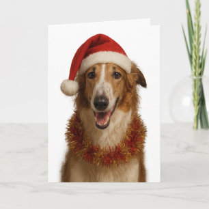 Borzoi (braun und weiß) Weihnachtskarte mit Santa Karte