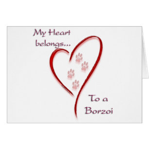 Borzoi Coeur Appartient