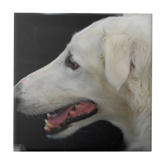 Borzoi-Fliese Fliese (Vorderseite)