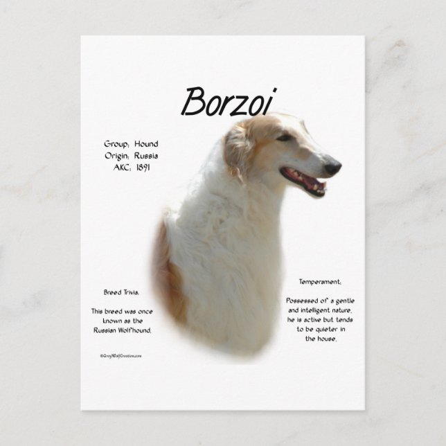 Borzoi-Geschichtsdesign Postkarte (Vorderseite)