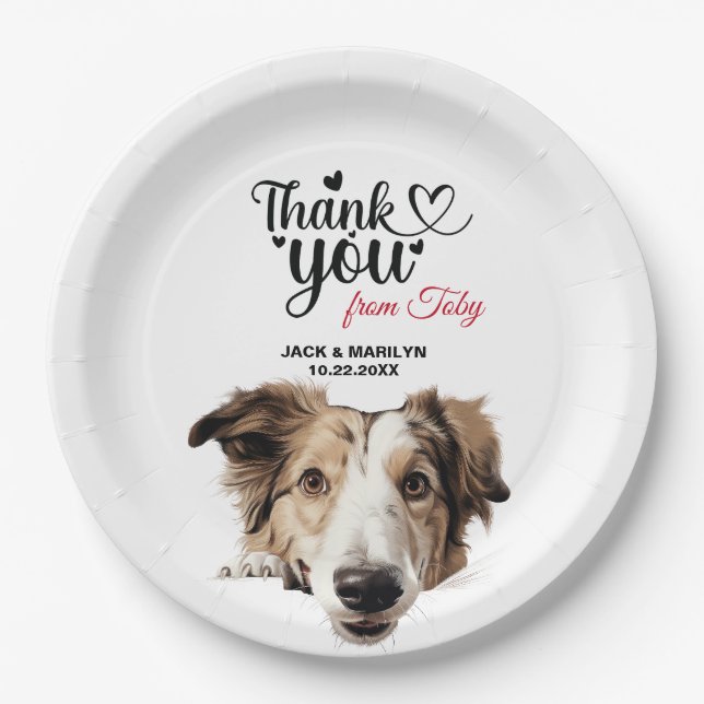 Borzoi-Hund Pappteller (Vorderseite)