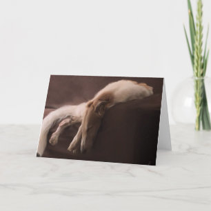 Borzoi in Ruhe Ankündigung
