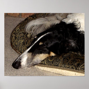 BORZOI-KUNST-DRUCK POSTER