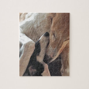 Borzoi Liebe