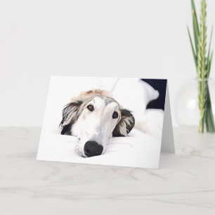 Borzoi Liebe Ankündigung