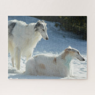 Borzoi - Russian Wolfhound dogs in the Snow