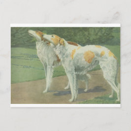 Borzoi (Russischer Wolfhound) Postkarte