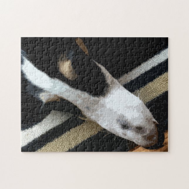 Borzoi-Schnauze (Horizontal)
