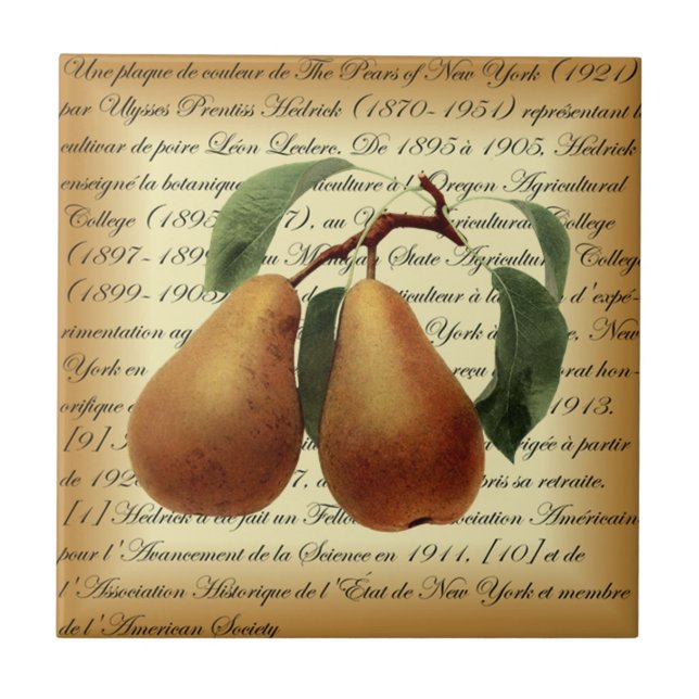 Bosc Pears~Léon Leclerc~Ulysses Prentis Hedrick~ Fliese (Vorderseite)