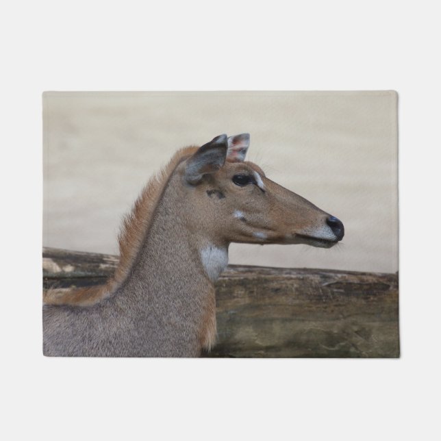 Boselaphus tragocamelus fußmatte (Vorderseite)