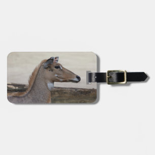 Boselaphus tragocamelus gepäckanhänger