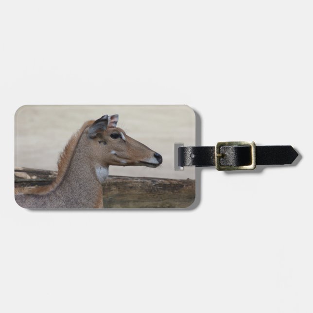 Boselaphus tragocamelus gepäckanhänger (Vorderseite horizontal)