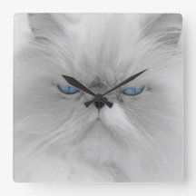 Böser Großvater der Grumpy Cat