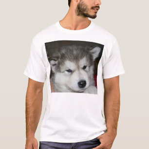 böser Welpe 2.png T-Shirt
