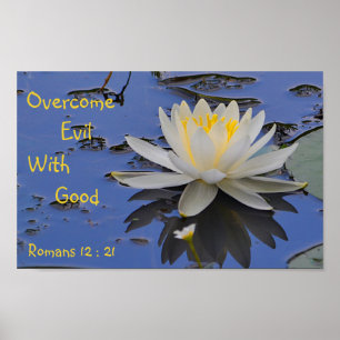 Böses mit guter Lilie überwinden Poster