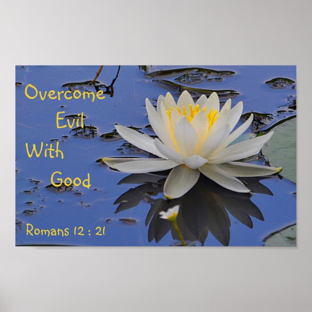 Böses mit guter Lilie überwinden Poster (Vorne)