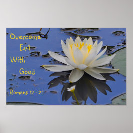 Böses mit guter Lilie überwinden Poster