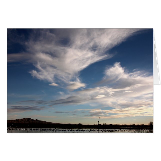 Bosque del Apache, New Mexico (Vorderseite (Horizontal))