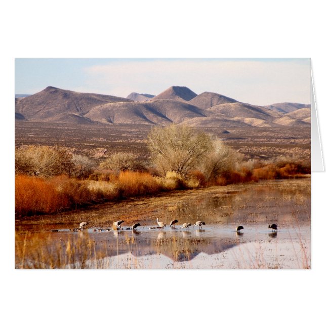 Bosque del Apache, Nouveau-Mexique (Devant horizontal)