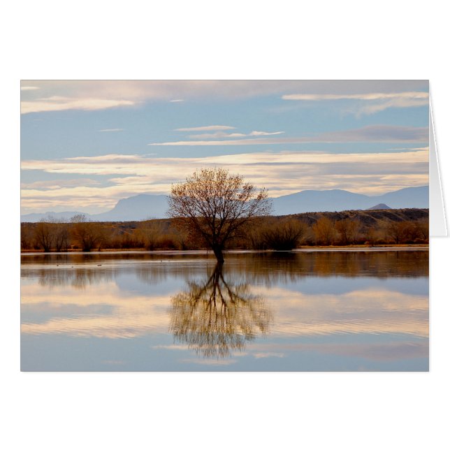 Bosque del Apache, Nouveau-Mexique (Devant horizontal)