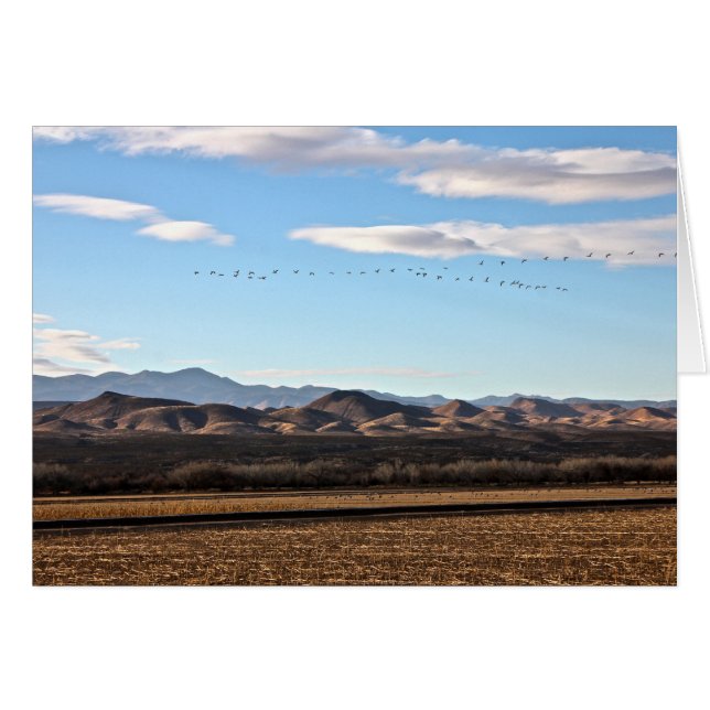 Bosque del Apache, Nouveau-Mexique (Devant horizontal)