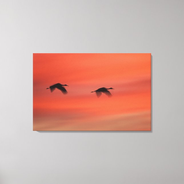 Bosque del Apache Wildlife Refuge | Neu Mexiko Leinwanddruck (Vorderseite)
