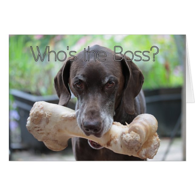 Boss-Tageskarte (Vorderseite (Horizontal))