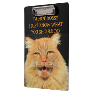 Bossy Cat ist Bossy Klemmbrett