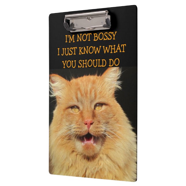 Bossy Cat ist Bossy Klemmbrett (Links)