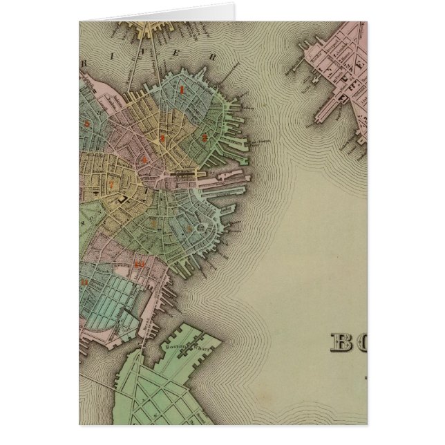 Boston (Vorne)
