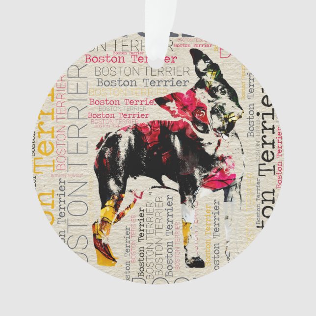 Boston adorable Terrier (devant)