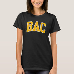 Boston Architectural Uni Arch 02 T-Shirt